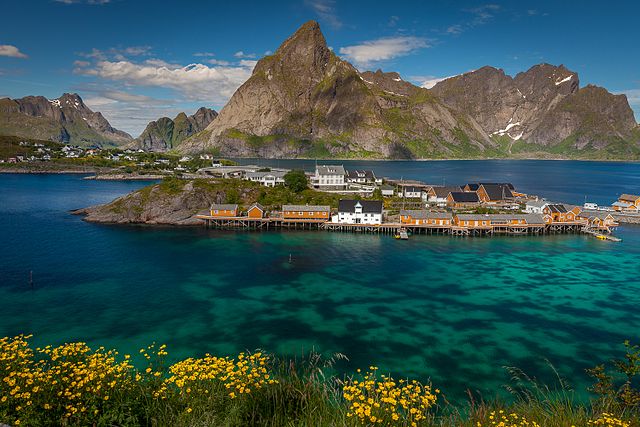 Reine