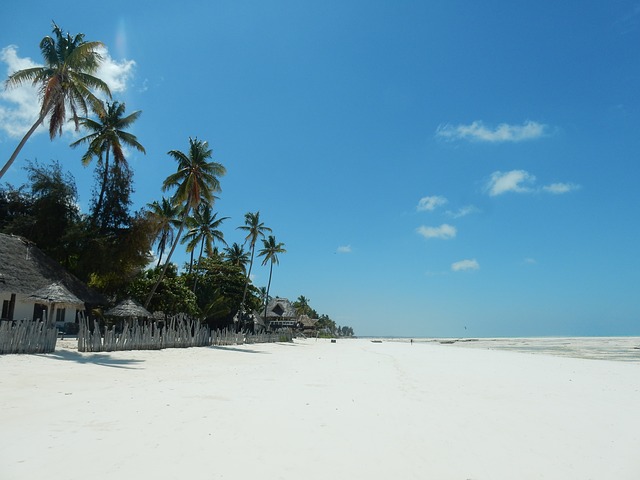 Zanzibar Beach