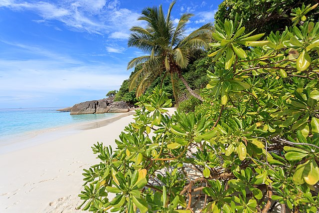 Similan Islands