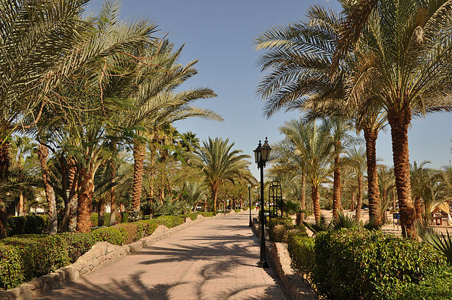 Naama Bay