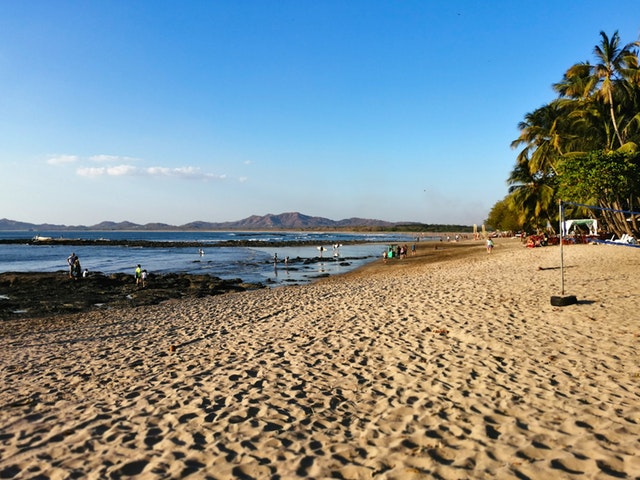 Tamarindo