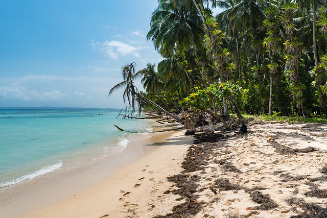 Bocas del Toro