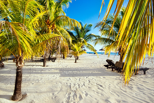 Mauritius Beach Scenery