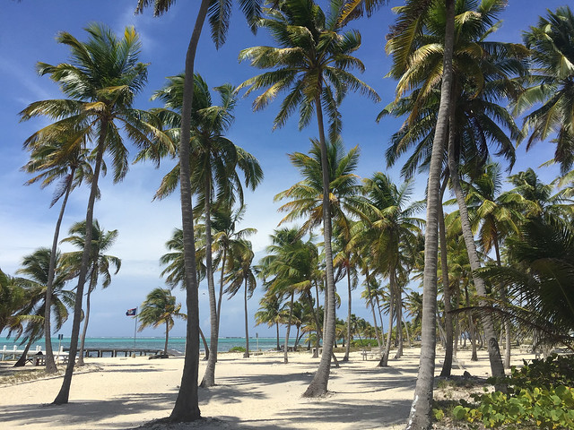 Belize Barrier Reef