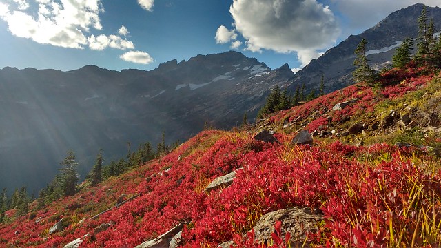 Okanogan Wenatchee National Forest