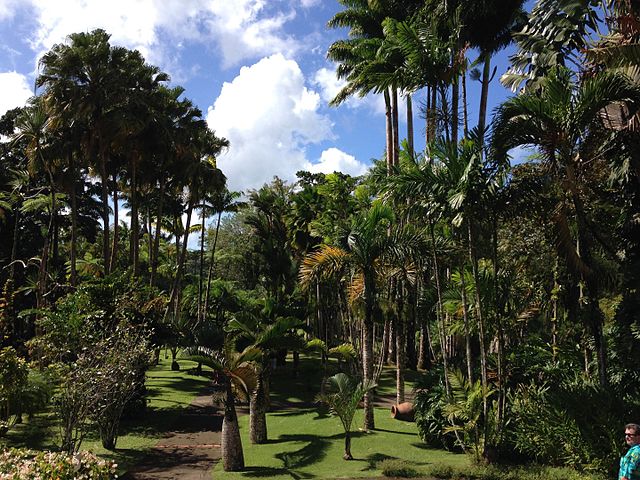 Jardin de Balata