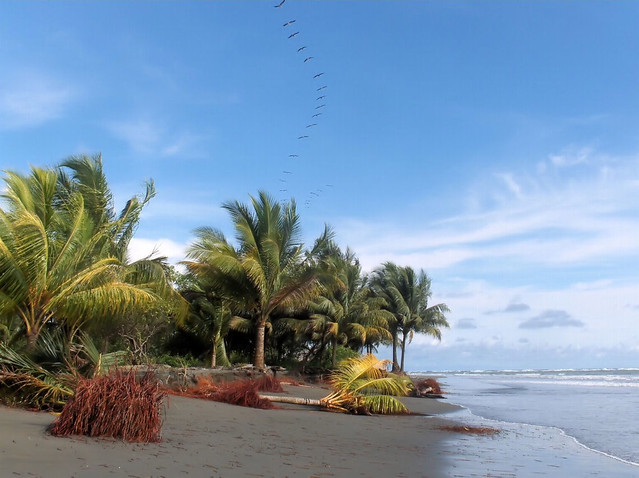 Playa Ladrilleros