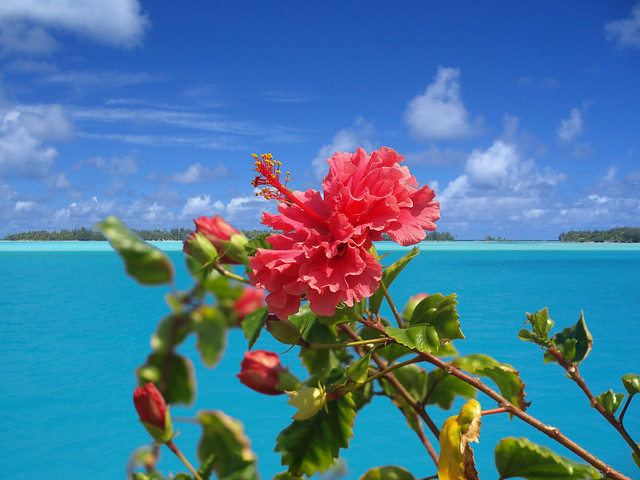 Isla Roatán