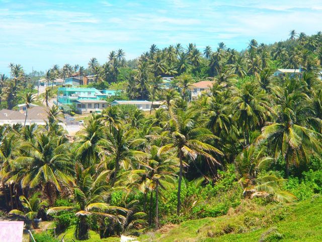 Barbados Beach