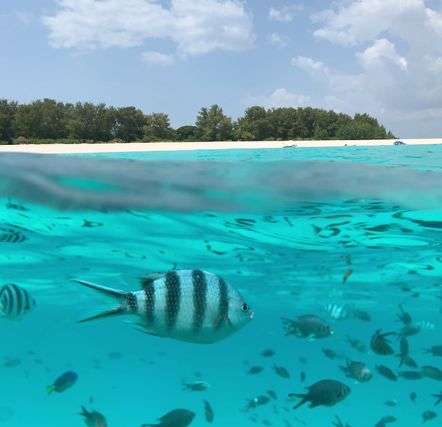 Zanzibar Beach