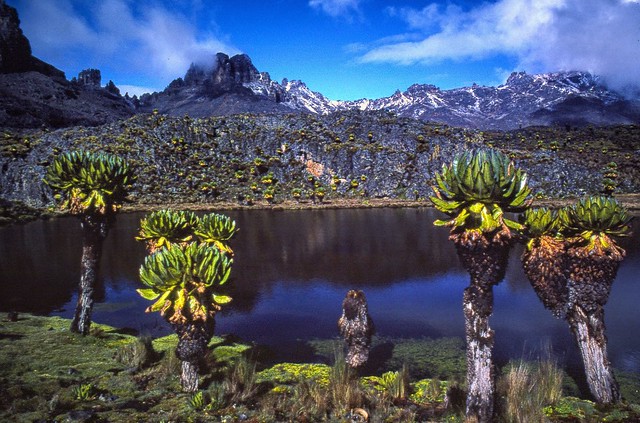 Mount Kenya