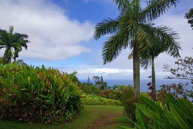 Maui