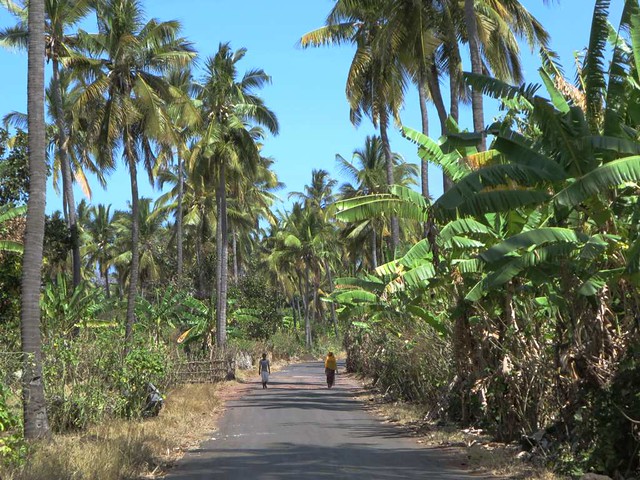 Comoros