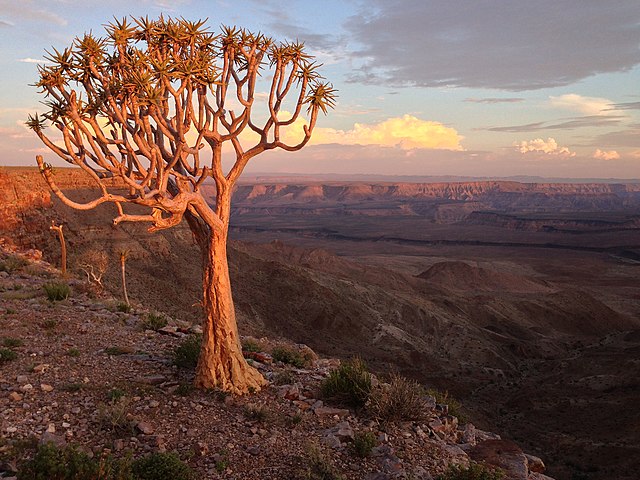 Fish River Canyon