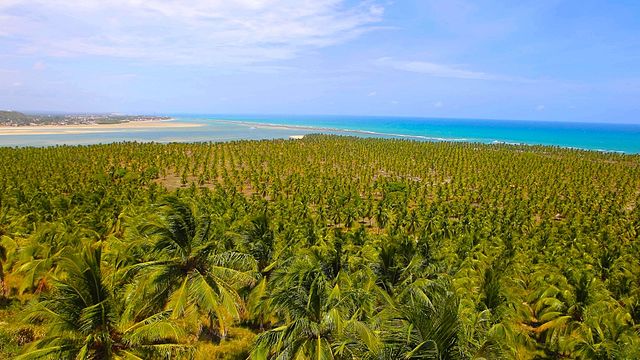 Alagoas