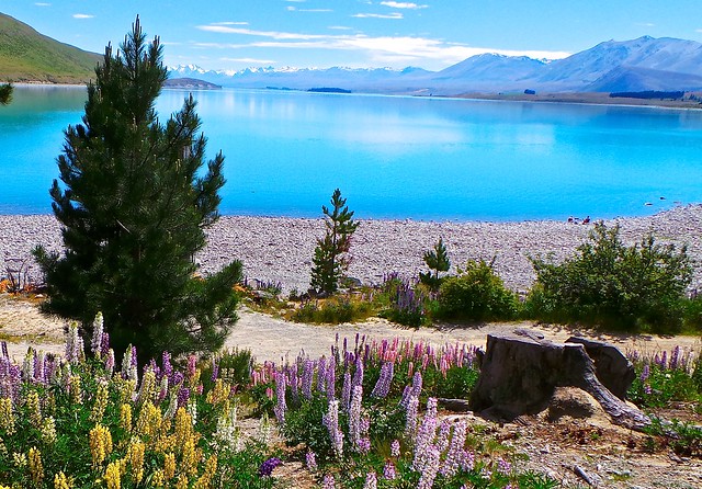 Lake Tekapo