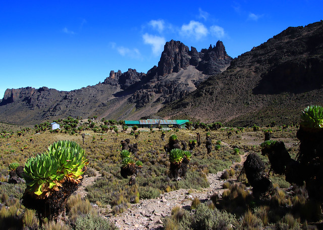 Mount Kenya