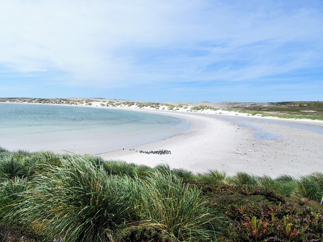 East Falkland