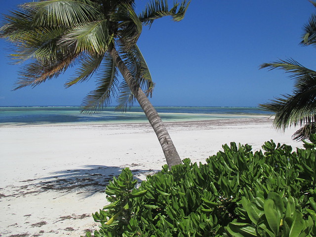 Zanzibar Beach