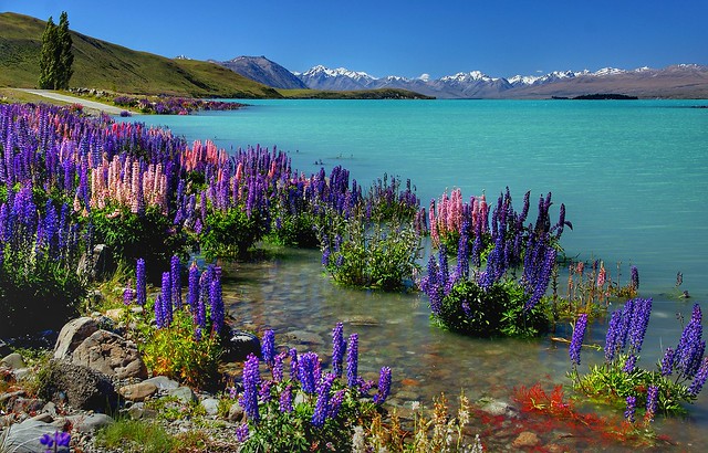 Lake Tekapo