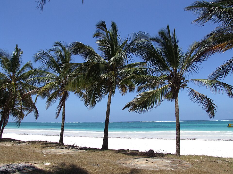 Keňa Diani Beach