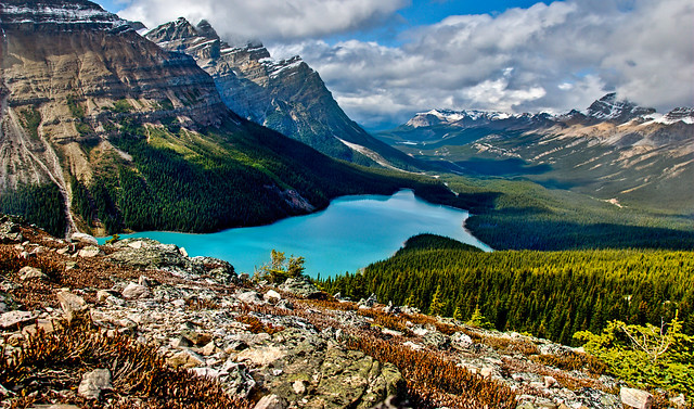 Peyto Lake