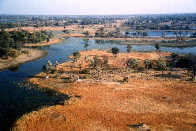Okavango Delta