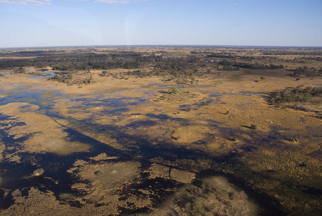 Okavango Delta