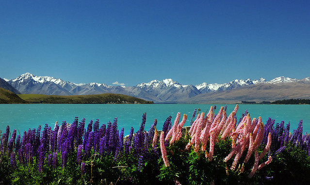 South Island