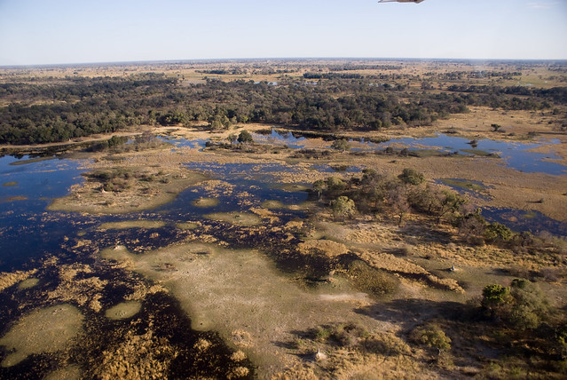 Okavango Delta