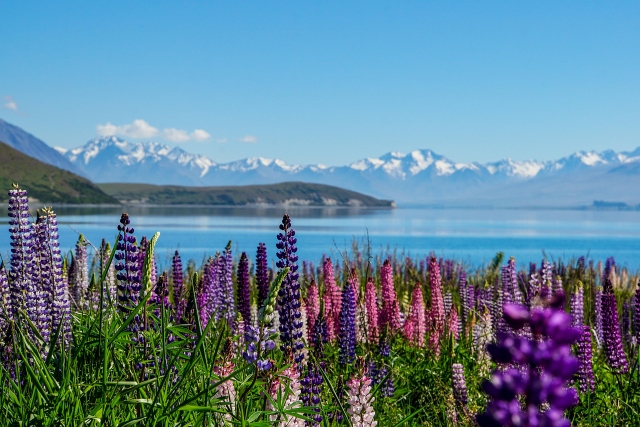 Nový Zéland South Island