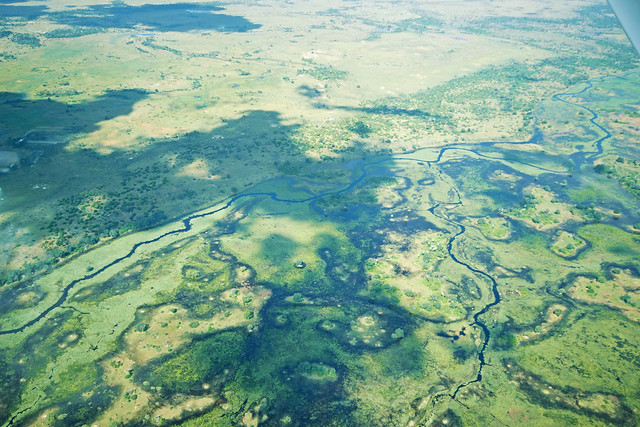 Botswana Okavango Delta