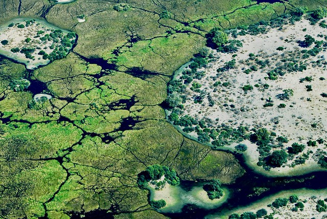 Botswana Okavango Delta