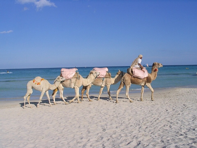 Tunisko Djerba