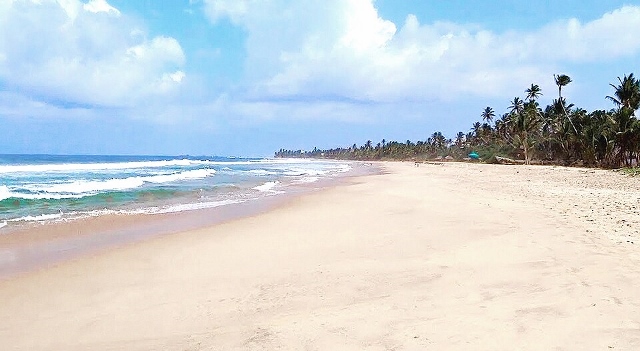 Mannar